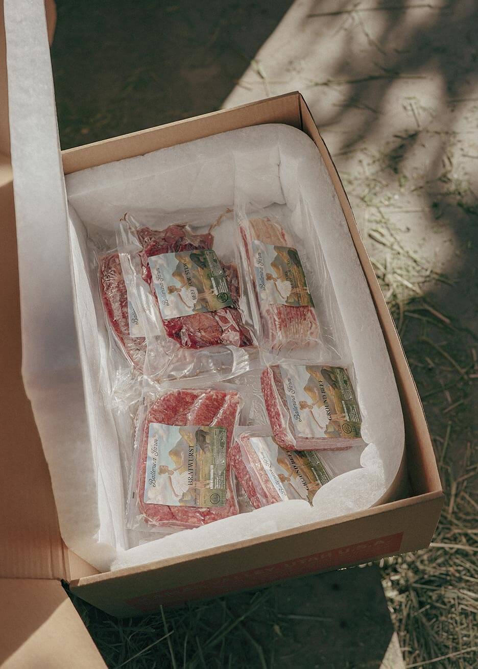 Hannah's Favorites Encore Subscription Box