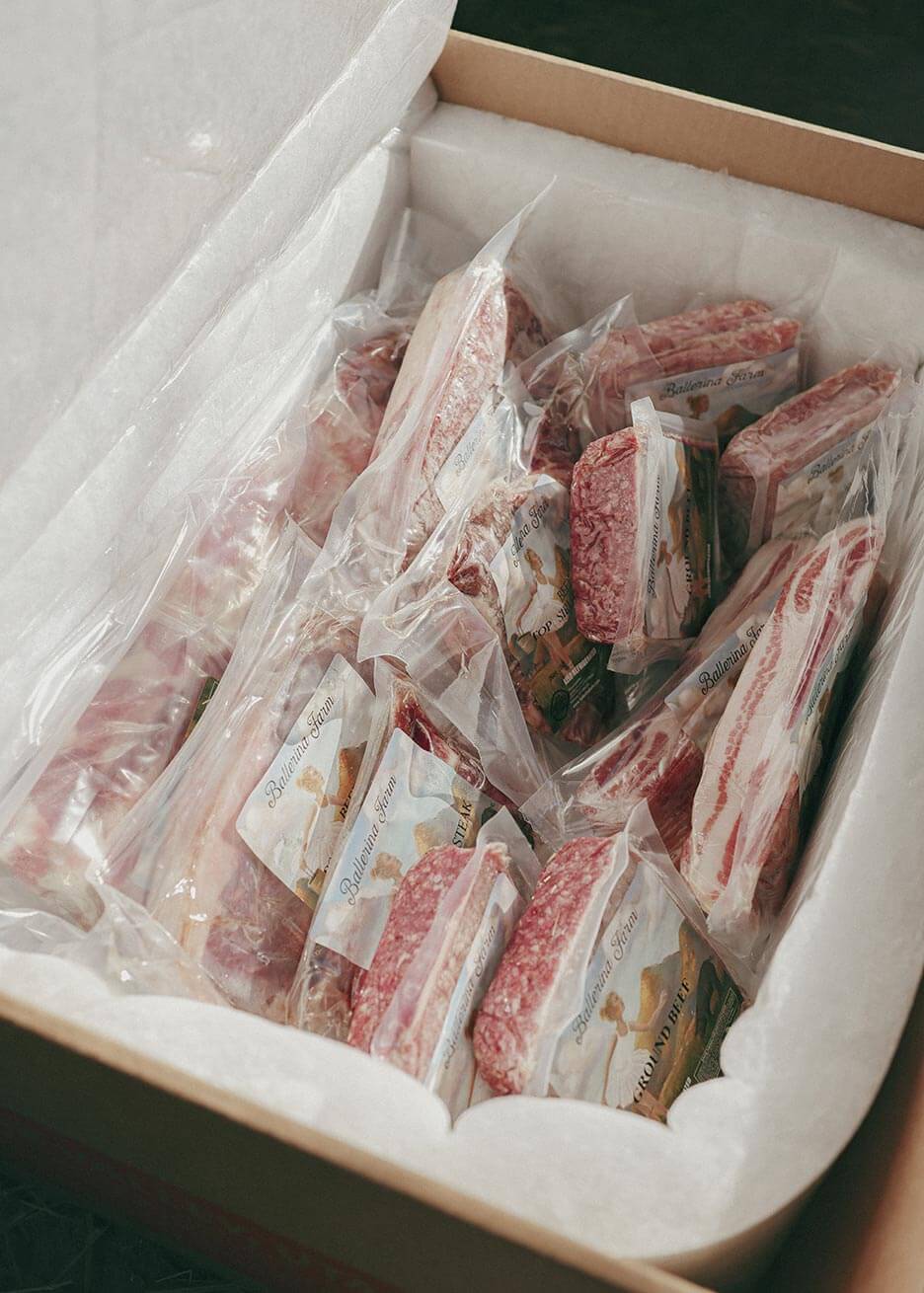 Hannah's Favorites Encore Subscription Box