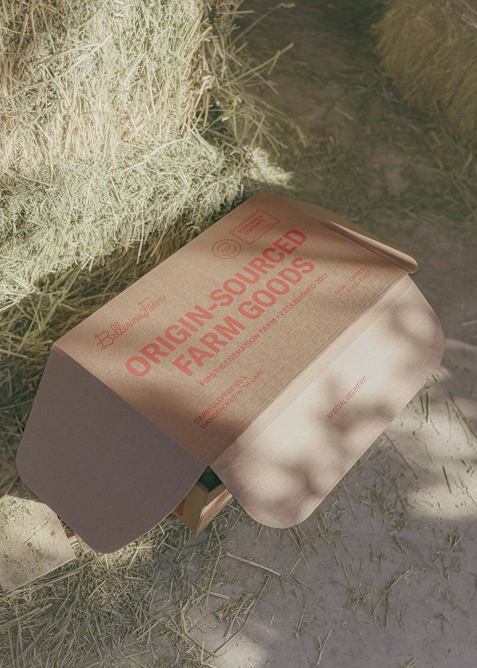All-Beef Encore Subscription Box